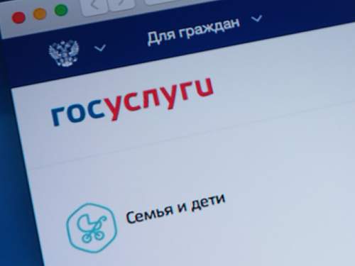 В МВД назвали две схемы доступа мошенников к &laquo;Госуслугам&raquo; граждан РФ