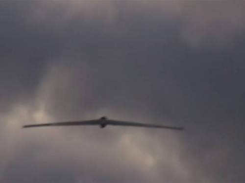 Названы страны, участвовавшие в самом массовом налёте БПЛА ВСУ на РФ