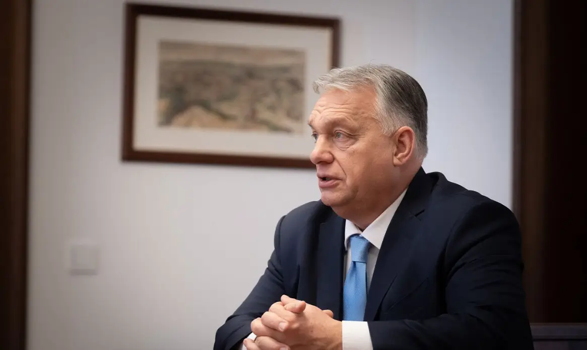 Орбан предупредил, что послевоенная Украина станет угрозой для всей европейской экономики