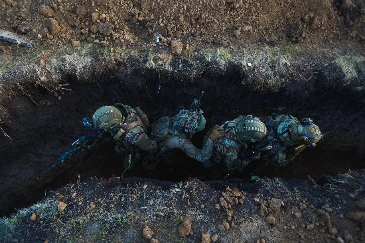 В ВСУ в 11 раз выросло количество дезертиров по сравнению с первым годом российской СВО