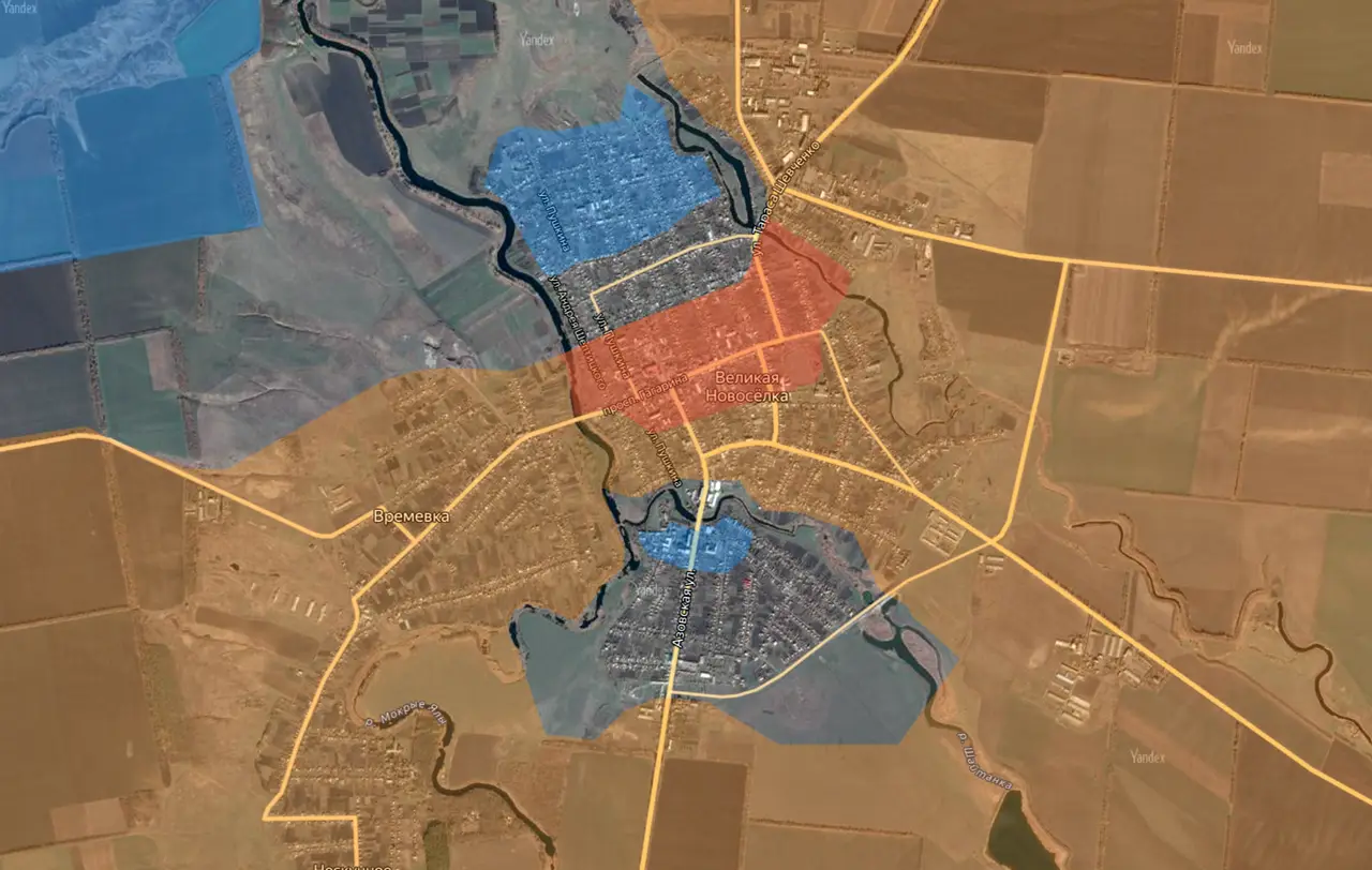 Российские войска водрузили флаг в центре Великой Новоселки