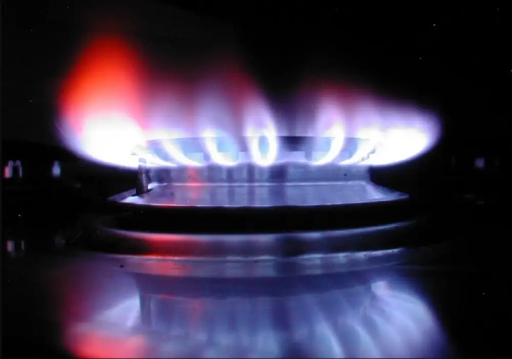 Австрийские СМИ: Европа очень хочет вернуть российский газ, но опасается реакции США Австрийские СМИ: Европа очень хочет вернуть российский газ, но опасается реакции США