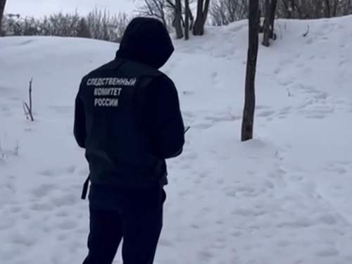 В Ставрополе собаки загрызли 9-летнюю девочку: момент нападения попал на видео (ВИДЕО)