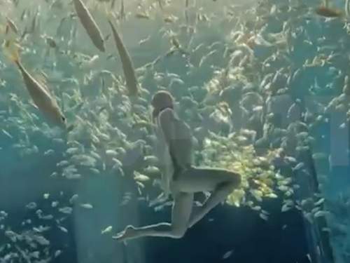 Россиянки, работающие «русалками» в Южной Корее и Китае, попали в рабские условия (ФОТО, ВИДЕО) Россиянки, работающие «русалками» в Южной Корее и Китае, попали в рабские условия (ФОТО, ВИДЕО)