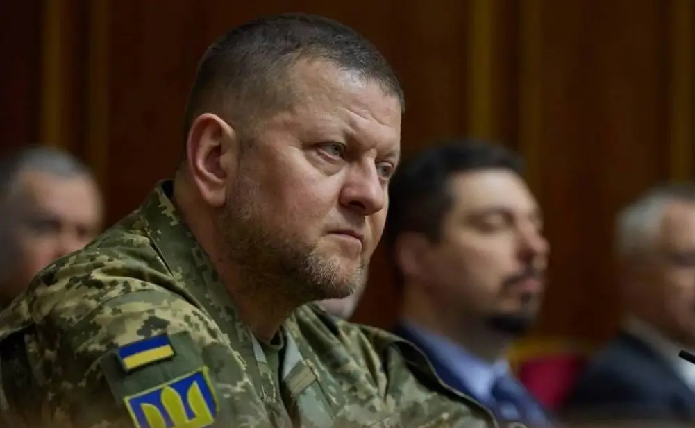 Зеленский руками СБУ в 2023 году неудачно попытался арестовать Залужного