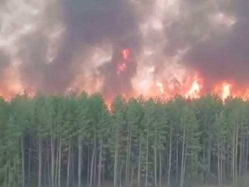 Страшный пожар в Циолковском у космодрома «Восточный» попал на видео (ФОТО, ВИДЕО)