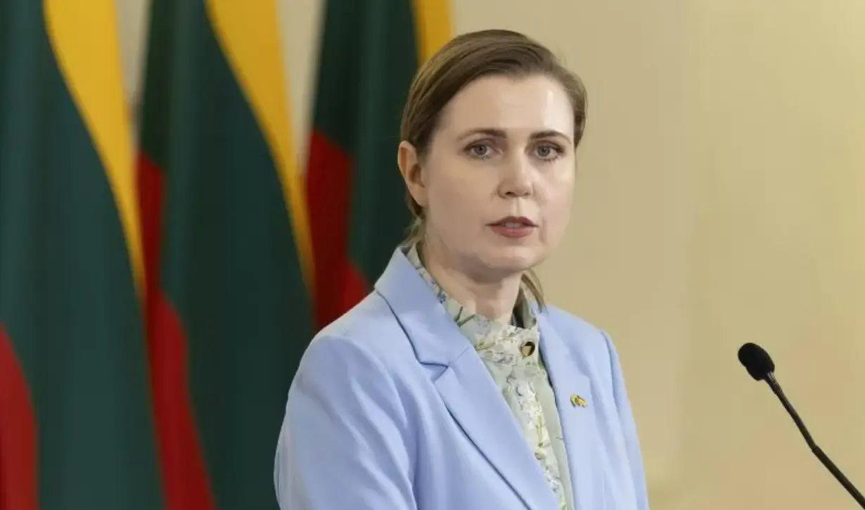 Подарок на день рожденья: глава Минобороны Литвы одобрила атаку на стратегические авиабазы России Подарок на день рожденья: глава Минобороны Литвы одобрила атаку на стратегические авиабазы России
