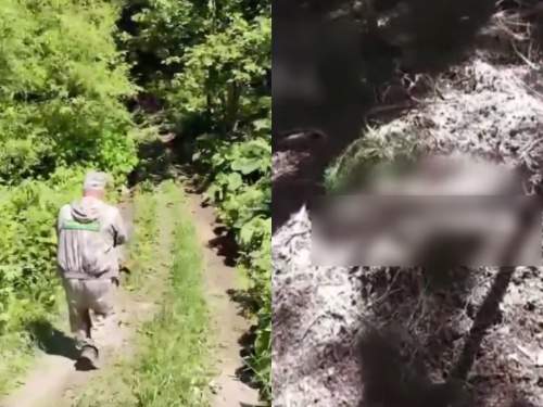 На Сахалине медведь-людоед убил двух мужчин: еще один пострадал (ВИДЕО) На Сахалине медведь-людоед убил двух мужчин: еще один пострадал (ВИДЕО)