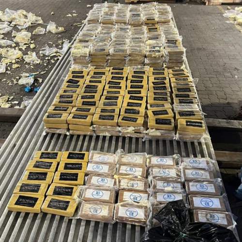 В Петербурге задержана партия бананов со спрятанными 820 кг кокаина (ФОТО, ВИДЕО) В Петербурге задержана партия бананов со спрятанными 820 кг кокаина (ФОТО, ВИДЕО)