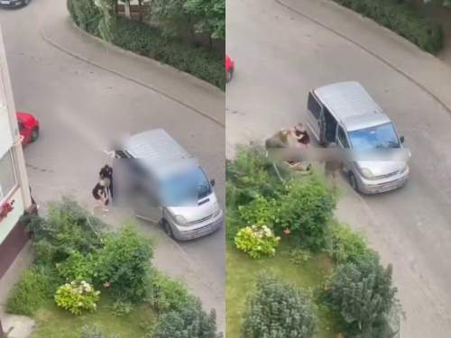 Украинка отбила мужчину у четырех военкомов, попав на видео (ВИДЕО)