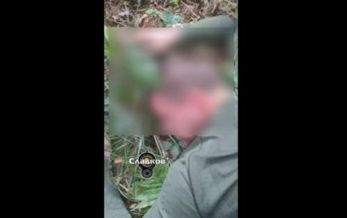 Россиян пугают сообщениями об диверсантах ВСУ, проникших в Калужскую и Брянскую области: что об этом известно? (ФОТО, ВИДЕО) Россиян пугают сообщениями об диверсантах ВСУ, проникших в Калужскую и Брянскую области: что об этом известно? (ФОТО, ВИДЕО)
