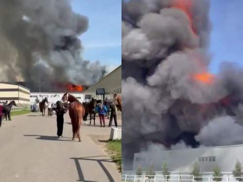 Пожар в Некрасовском на площади в 15 тыс. кв. м: под угрозой оказался конный клуб (ФОТО, ВИДЕО)