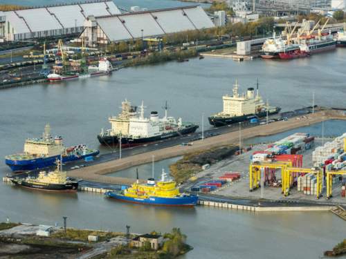 В порту Петербурга изъяли 1,5 тонны кокаина из Эквадора на 20 млрд рублей (ФОТО)