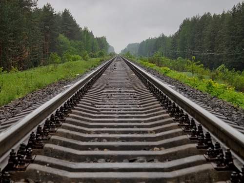 Пять школьниц легли на рельсы перед грузовым поездом для фотосъемки (ФОТО)