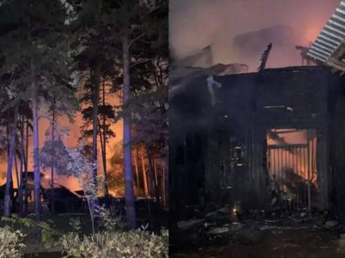 При пожаре в зоопарке Новосибирска погибли ламы и альпаки (ВИДЕО)