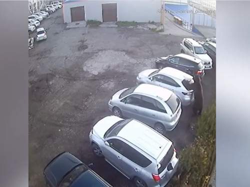 Медведь убил женщину и напал на мужчину в Петропавловске-Камчатском (ВИДЕО) Медведь убил женщину и напал на мужчину в Петропавловске-Камчатском (ВИДЕО)