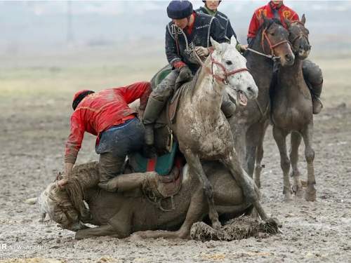 В Подмосковье мигранты устроили шокирующие игры с тушей мертвого козла (ВИДЕО) В Подмосковье мигранты устроили шокирующие игры с тушей мертвого козла (ВИДЕО)