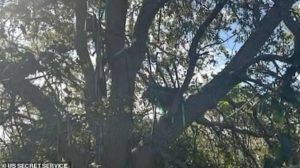 На Трампа объявили охоту: секретная служба предотвратила очередное покушение (ФОТО)