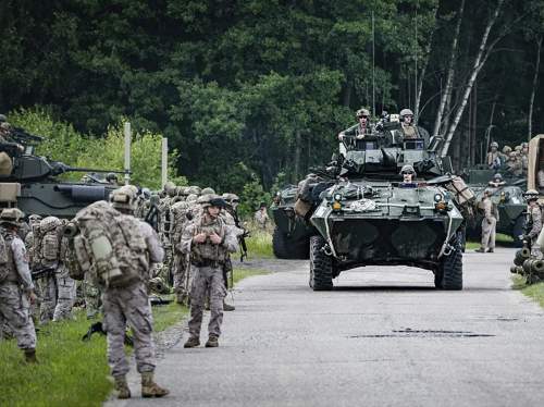 Стали известны детали подготовки НАТО к войне с Россией