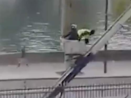 Опубликовано видео с побегом преступников, ограбивших Лувр (ВИДЕО) Опубликовано видео с побегом преступников, ограбивших Лувр (ВИДЕО)