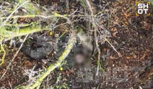 SHOT: ВСУ в Купянске расстреляли семерых сослуживцев, которые не хотели воевать (ФОТО)