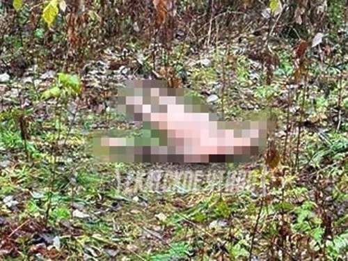 На Урале за неделю найдена вторая обезглавленная женщина