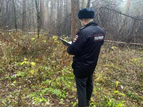 «Забивал скот»: на Урале сын рассказал, как отрезал голову матери (ФОТО) «Забивал скот»: на Урале сын рассказал, как отрезал голову матери (ФОТО)