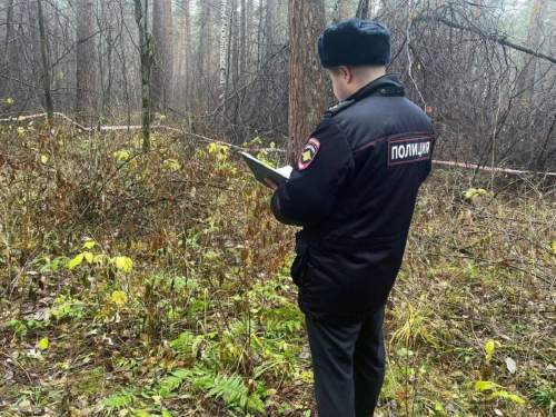 «Зря я тебя не утопила в унитазе»: на Урале сын рассказала, за что отрезал матери голову (ФОТО) «Зря я тебя не утопила в унитазе»: на Урале сын рассказала, за что отрезал матери голову (ФОТО)