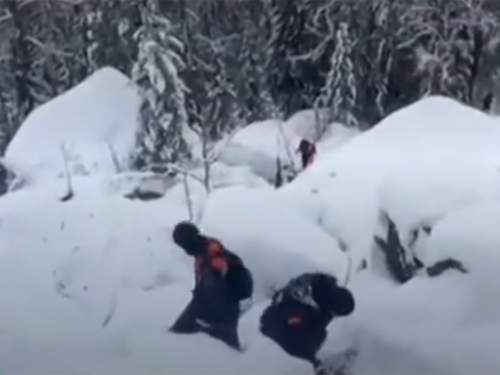 Недалеко от места поисков Усольцевых спасатели сделали страшную находку Недалеко от места поисков Усольцевых спасатели сделали страшную находку