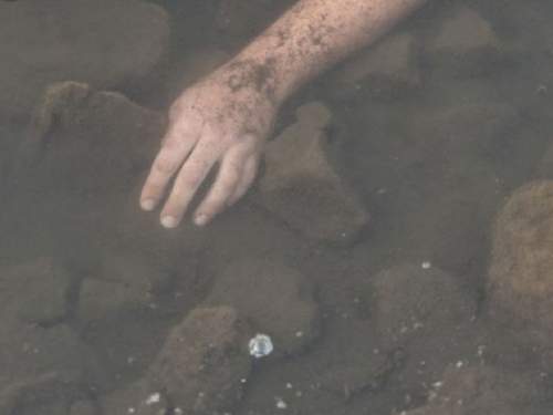 В Прикамье в рыболовных сетях нашли четыре трупа