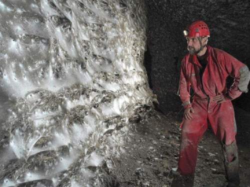 Крупнейшая в мире паутина с пауками обнаружена на границе Албании и Греции (ФОТО, ВИДЕО)