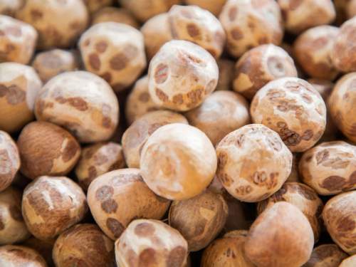 СМИ: российские школьники подсели на орех из Азии, вызывающий рак (ВИДЕО) СМИ: российские школьники подсели на орех из Азии, вызывающий рак (ВИДЕО)