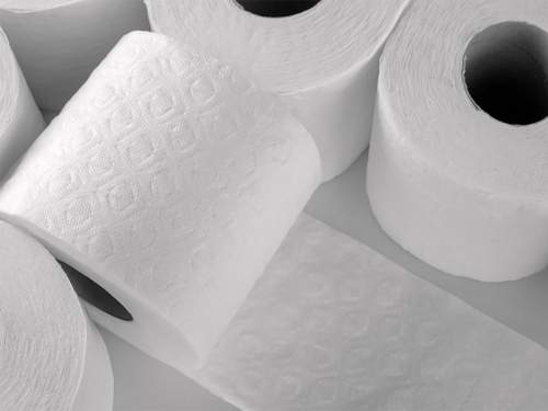 Храм на туалетной бумаге вызвал скандал: в дело вмешалась прокуратура