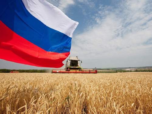 «Хочет «отвязаться» от России»: Армению обвинили в попытке помочь Украине через закупки зерна