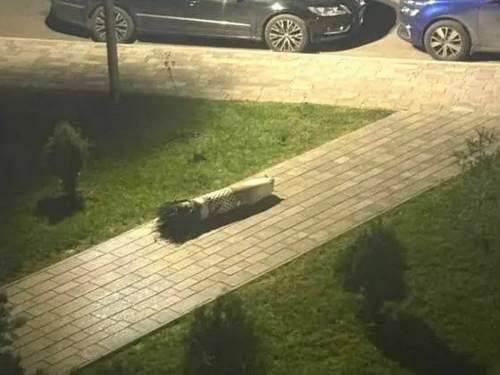 Ракеты США ударили по Киеву вместо «Кинжала», разоблачив Зеленского (ФОТО)