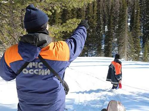 В местах, где пропали Усольцевы, найдена девочка