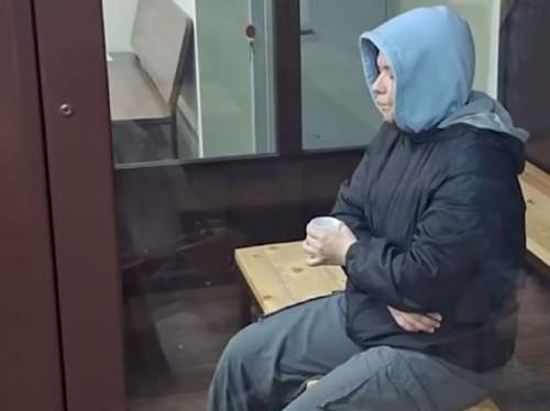 В Москве на два месяца арестована мать, выбросившая голову сына в пруд (ВИДЕО)