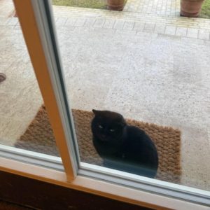 &laquo;Приходит каждый день&raquo;: Симоньян рассказала о мистике после смерти Кеосаяна (ФОТО)