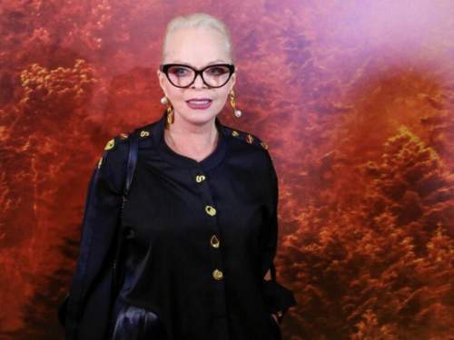 В Верховном суде России высказались по делу певицы Долиной