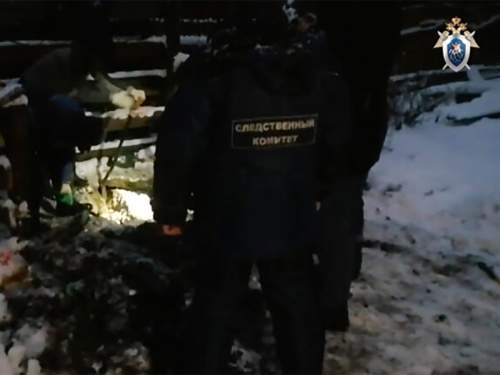 В Подмосковье на участке &laquo;Богородского маньяка&raquo; нашли тела двух пропавших девушек