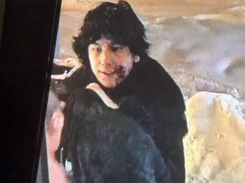 &laquo;Трижды ударил ножом&raquo;: в подмосковной Электростали мигрант зарезал 18-летнего студента в автобусе (ФОТО, ВИДЕО)