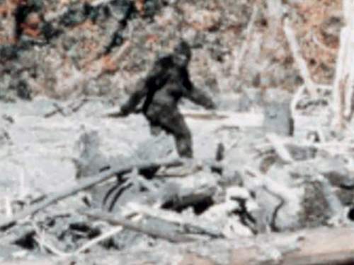 Морпех США рассказал, как на американскую военную базу проникло чудовище