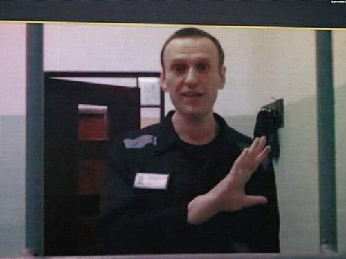 Пять стран заявили, что Навального* отравили ядом южноамериканской лягушки