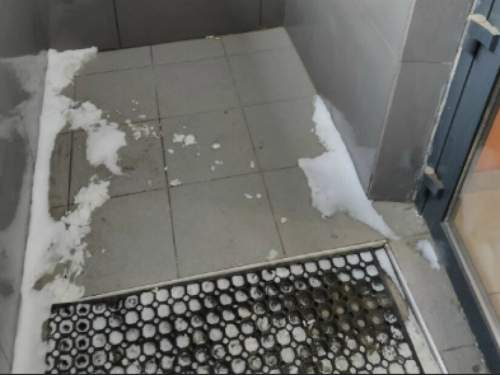 Россияне бойкотируют «Додо Пиццу»: там уволили курьера за плед для бездомной собаки