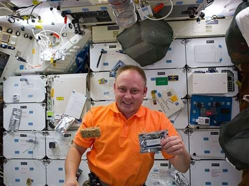 Астронавт NASA признал свою вину в эвакуации экипажа МКС