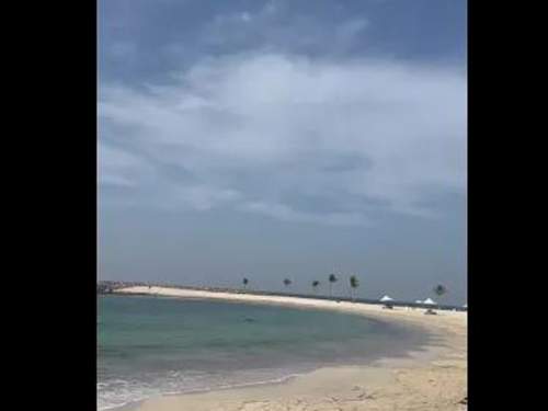 Туристы на пляже в Эмиратах сняли погоню F 16 за иранским дроном Shahed (ВИДЕО) Туристы на пляже в Эмиратах сняли погоню F 16 за иранским дроном Shahed (ВИДЕО)
