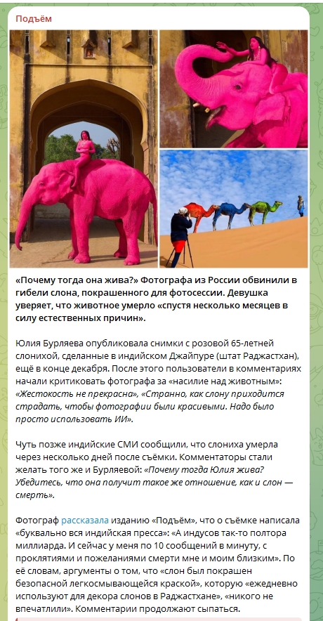 Фотографа из России обвинили в гибели слона, покрашенного для фотосессии (ФОТО)