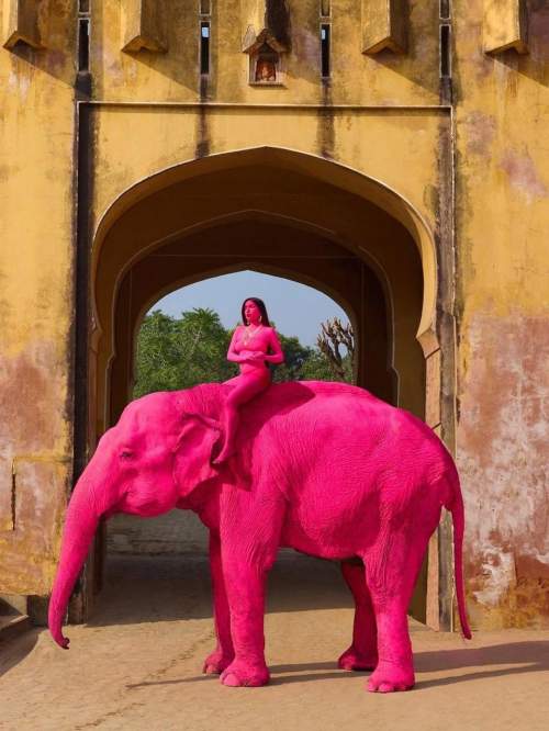 Фотографа из России обвинили в гибели слона, покрашенного для фотосессии (ФОТО)