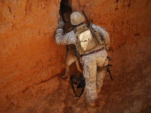 Спасая пилота F 15, США проникли к ядерному центру Ирана, обойдя ПВО (ФОТО) Спасая пилота F 15, США проникли к ядерному центру Ирана, обойдя ПВО (ФОТО)