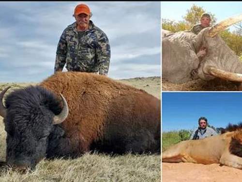 Миллионера из США насмерть затоптали слоны в Африке во время охоты